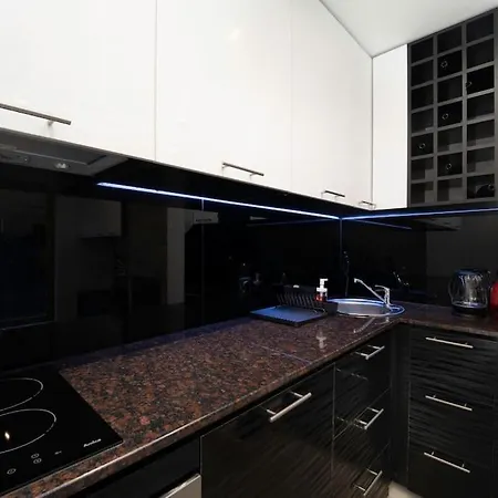 Stylish Cozy With Fireplace Apartment *