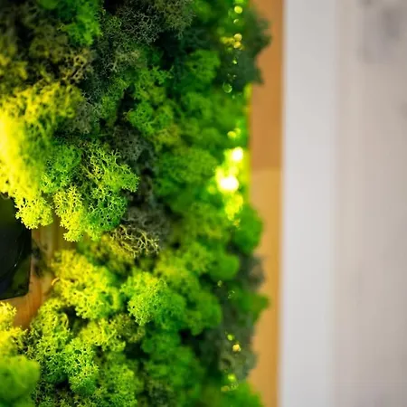 Appartement Stylish Cozy With Fireplace Bansko